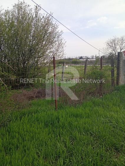 Teren intravilan mixt Buftea – spre Corbeanca | 1.250 mp | Ideal investiție - 3