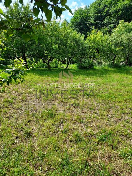 Teren la liziera padurii! - 4