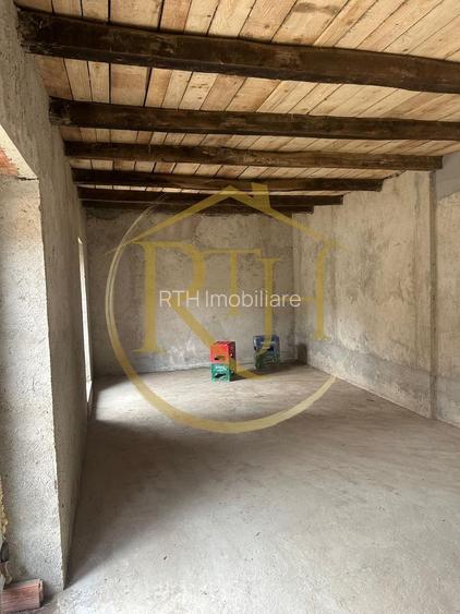 Casa plus teren de vânzare în Balinț,comision ,,0'' - 11