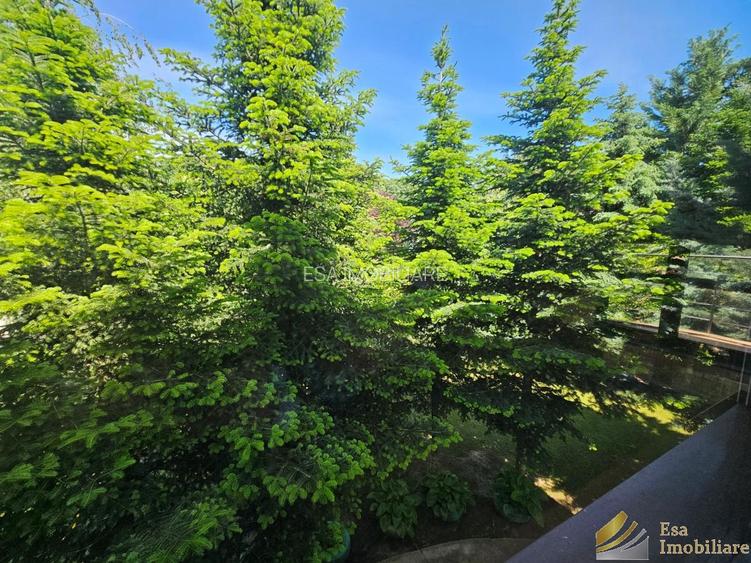 De vanzare vila individuala  Snagov padure-lac - 3