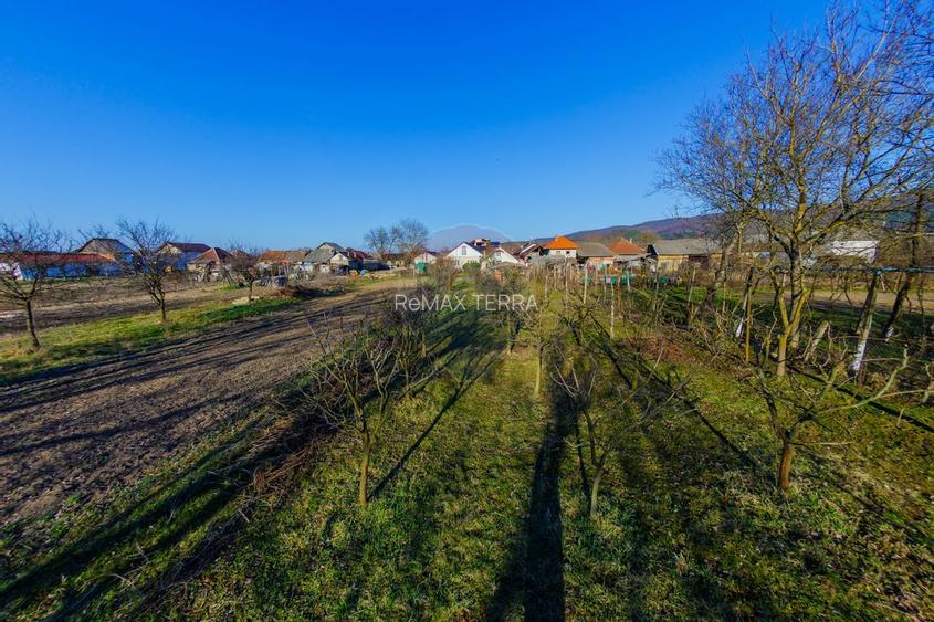 DE VANZARE Oportunitate rară proprietate cu 2 case zona Ulmeni - 30