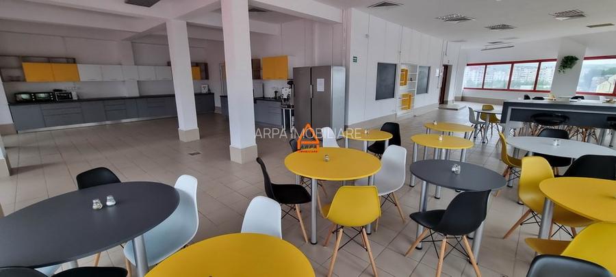 Spatiu comercial - Birouri - 248 mp - 1000 mp - Pacurari - 5