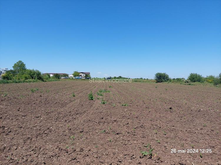 Teren  intravilan  540 mp / Vama Veche - 14