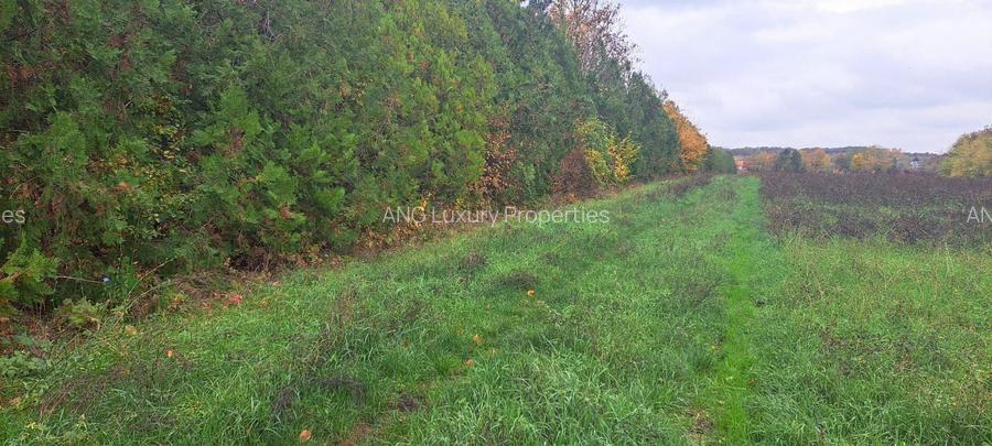 OAZA DE LINISTE SI RAFINAMENT LA MALUL LACULUI - 4