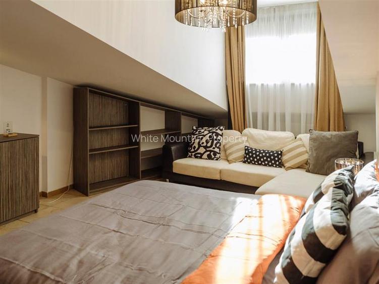 Penthouse 2 camere, inchiriere lunga durata, Herastrau - 5