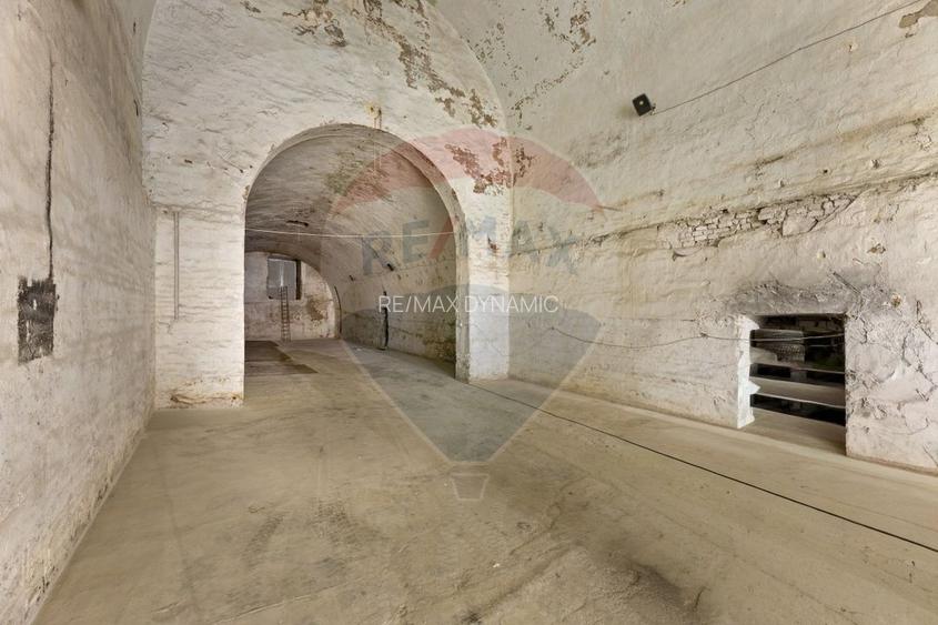 Spațiu comercial de închiriat 550 mp tip pivniță - zona Aradul Nou - 3