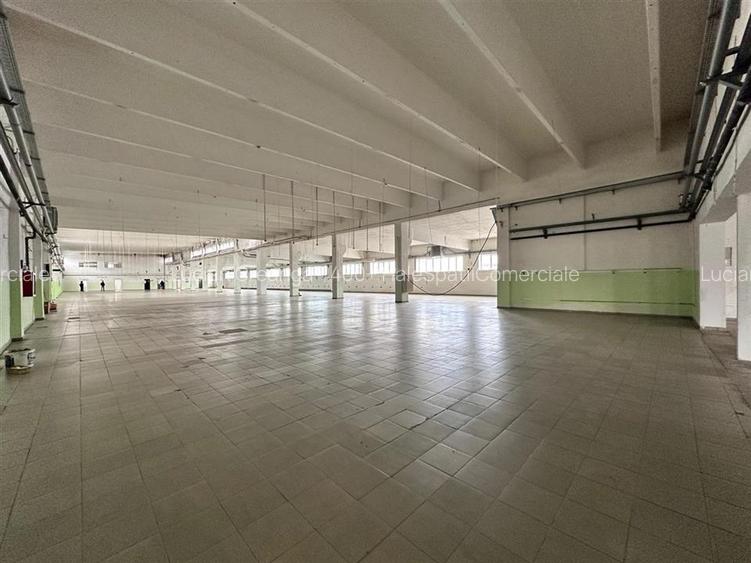 Hala/ spatiu comercial Pascani, 1500mp - 8