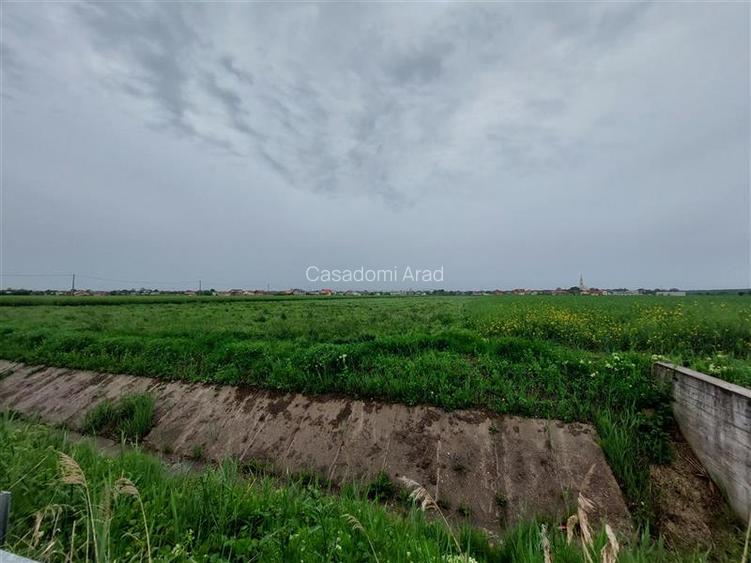 Teren intravilan in apropiere de Via Carmina, Vladimirescu - 2