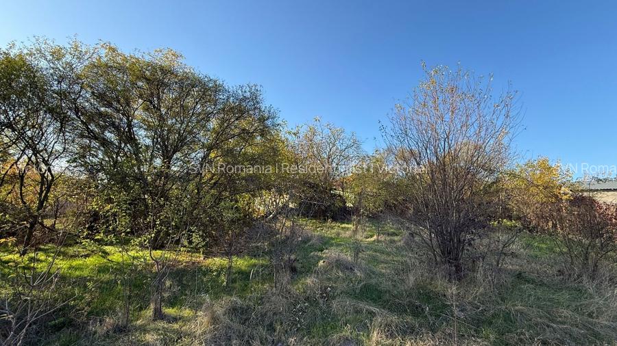 REL4001212 Teren I De Vanzare I Snagov - 5