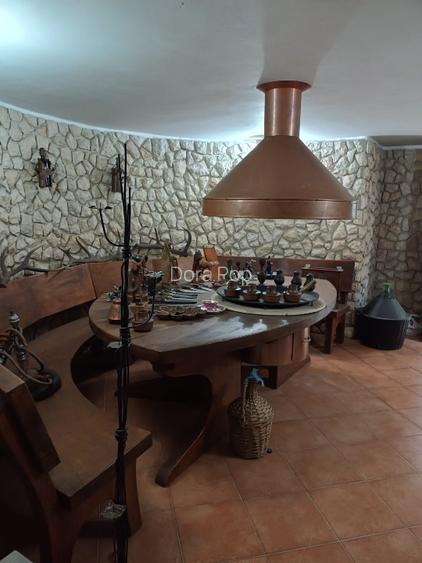 REȘEDINȚĂ DE LUX ÎN CENTRUL BAIA MARE – DESIGN INOVATOR ȘI CONFORT DE EXCEPȚIE - 15