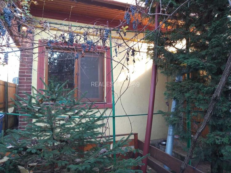 URGENT!, Brancoveanu-Budimex, singur curte, GARAJ, NEGOCIABIL - 10