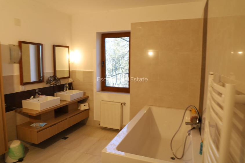 Proprietate Snagov de vanzare - 8