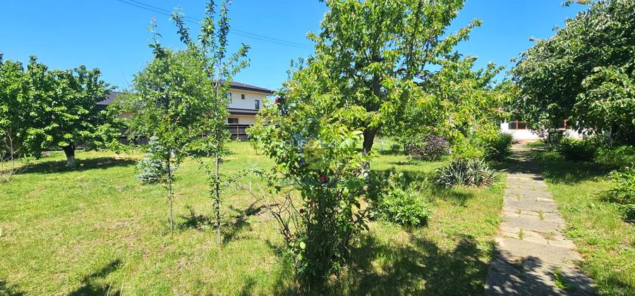 RARA AVIS! Teren 1550 mp, deschidere 31 m, zona Ferme, Otopeni - 6