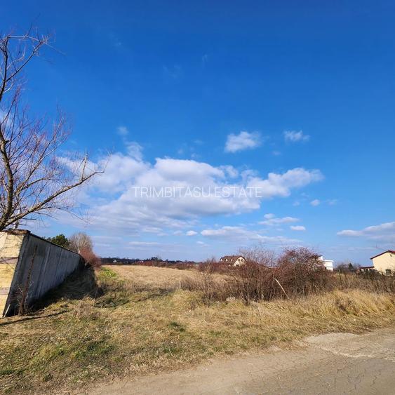 Teren cu deschidere lac Snagov Vladiceasca - 6