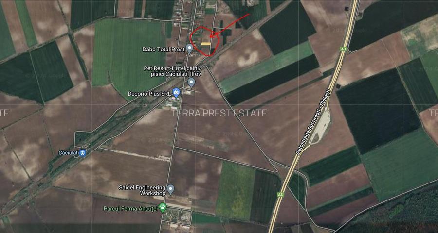 1500 mp Intravilan, Caciulati, acces rapid autostrada A3 - 3