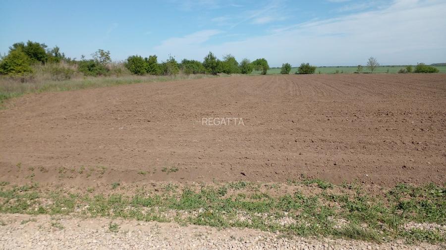 Teren Construcții extravilan de 4881 mp, în Corbeanca - 10