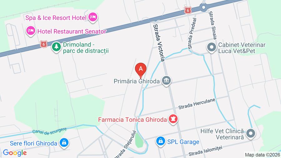 Proprietar vând casă P+1E+M, cu 8 camere în Ghiroda - 15