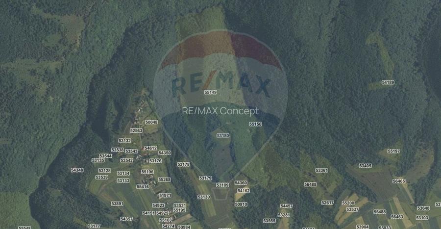 Padure 9 ha Cluj - 3