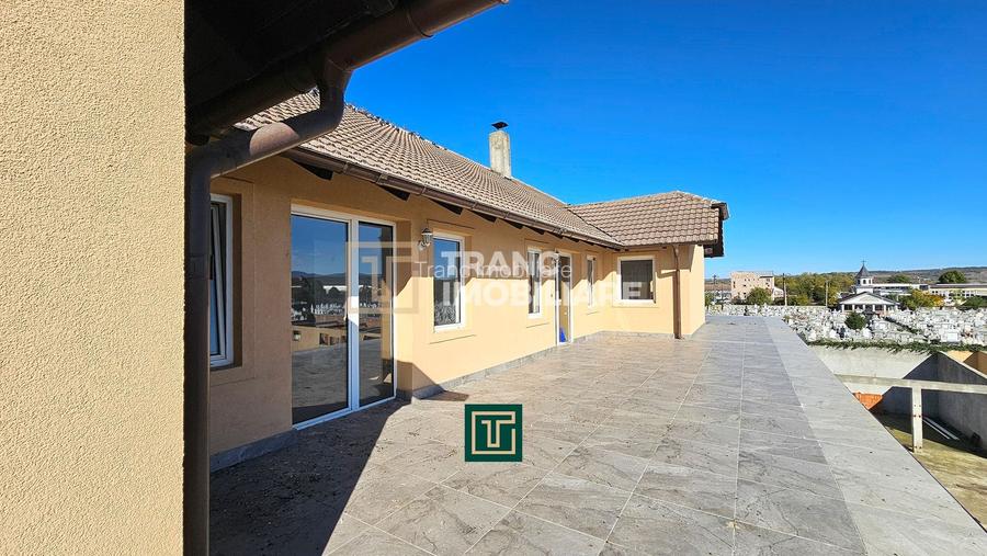 Proprietate multifunctionala - teren generos, cladire si hala in Lugoj - 13