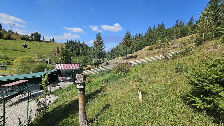 Casă / Vilă de vacanta in Dorna Arini, Suceava - 52