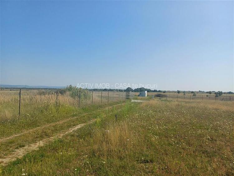 Teren intravilan de vanzare cu fantana si curent electric pe teren - 6