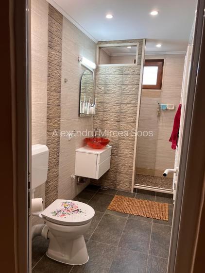 Apartament 4 Camera in Lugoj - 3