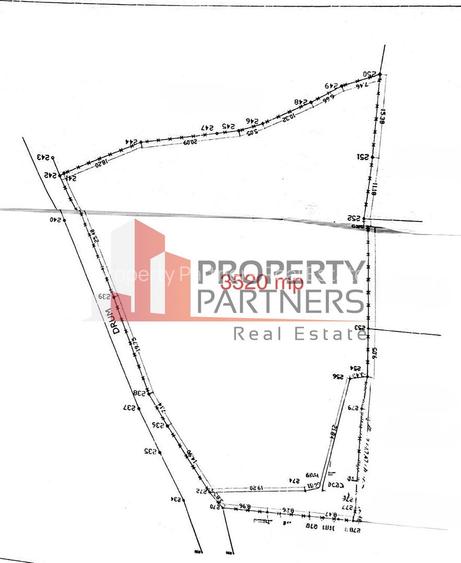 Teren Bran | 3.520 mp | Vedere Bucegi & Castelul Bran - 7