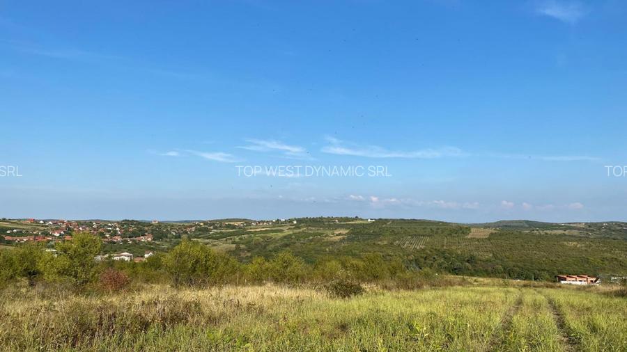 Teren intravilan, Saldabagiul de Munte - 4