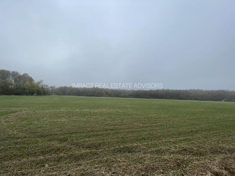 9400 mp | Ideal pentru investitie | Tunari | Deschidere la padure - 6