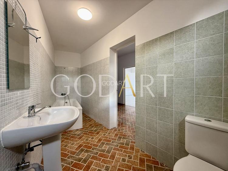 Oportunitate | Vila individuala | Curte | Tei - 19