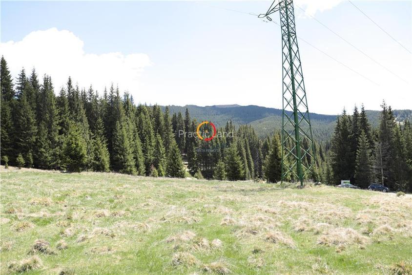 terenuri speciale Padina Busteni - 7