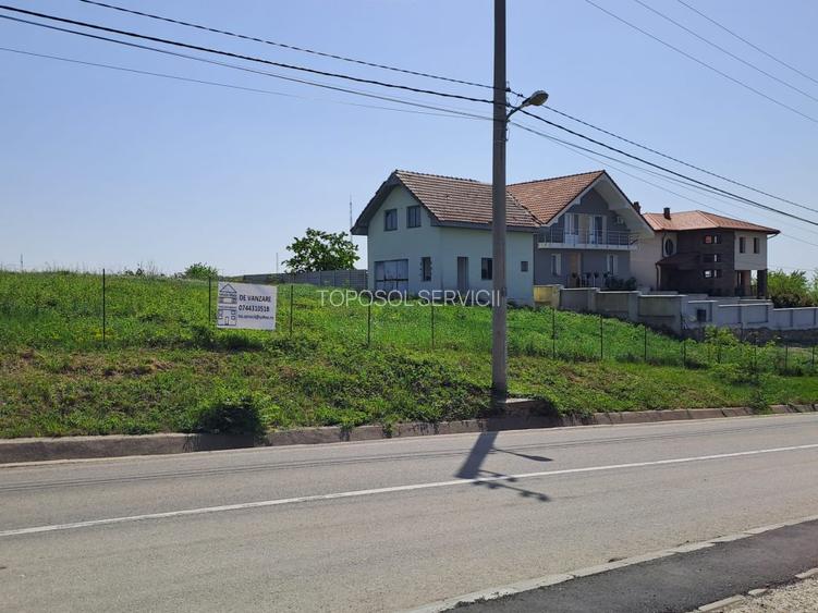 Teren intravilan pentru investitii - 5