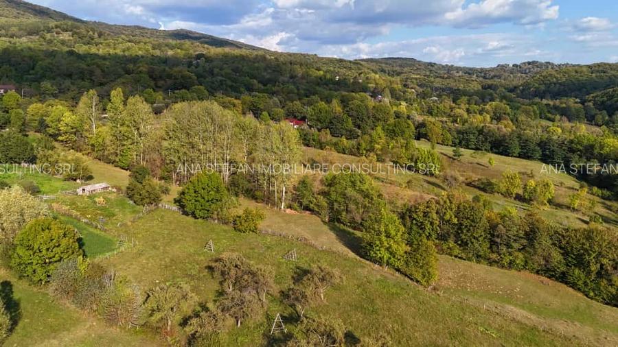 Teren intravilan+extravilan / Corbeni-Arges - 9