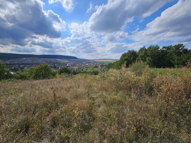 Teren cu autorizatie pentru doua case in Chinteni - 3