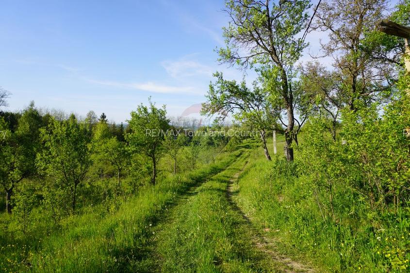 Teren 38,592mp Sighetu Marmatiei / Strada Mocăniței - 15