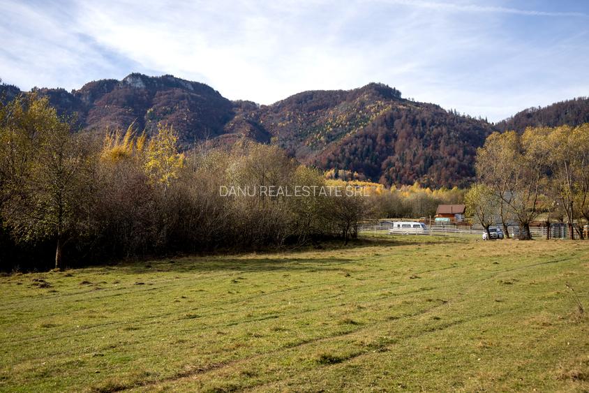 Teren intravilan 5723mp Zarnesti Tohanita- case de vacanta,investitie in turism - 9
