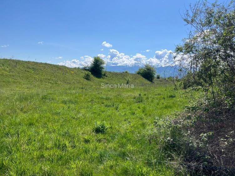 Vand teren intravilan - 3