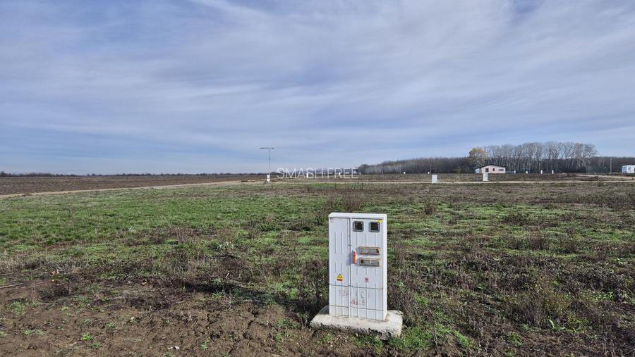 Loturi de teren 638 mp - curent tras la teren - Crevedia - 8