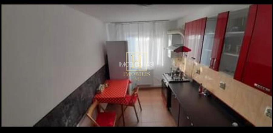 Apartament 1 camera Dec + mansarda 50 mp Nicolina Lidl 380 euro - 3