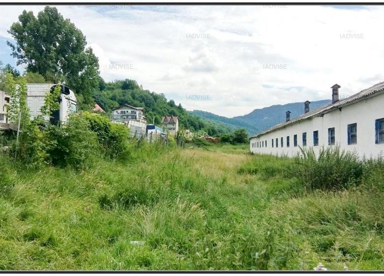 Ferma de animale - 59303 mp teren plus 12950 mp de cladiri - 7