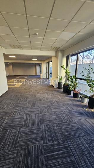 Spatiu birouri in imobil de birouri, P-ta Victoriei, parter - 6