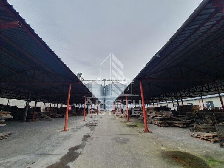 SPATIU INDUSTRIAL cu 3 hale si depozite acoperite - 4