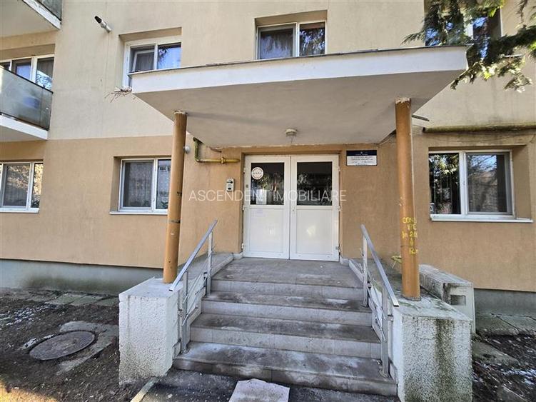 Apartament in areal verde, Lenin, Sfantu Gheorghe, Covasna - 11