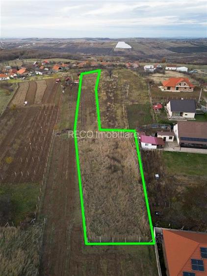 RECO . Teren intravilan Saldabagiu de munte . - 2