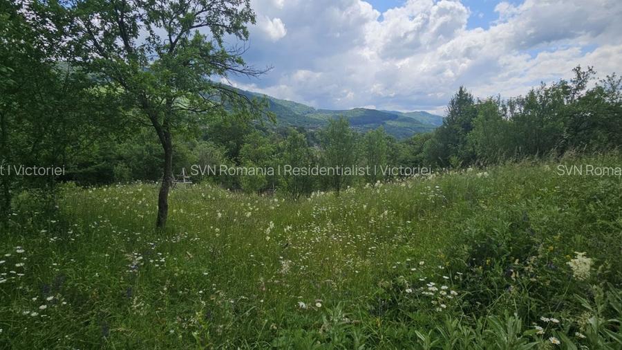 REL4001143 Teren de vanzare in Valea Doftanei - 2