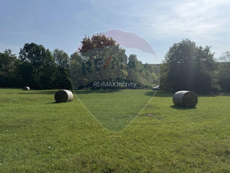 Teren 10.000 mp Calatele – Apuseni, langa rau, ideal investitie turism - 7