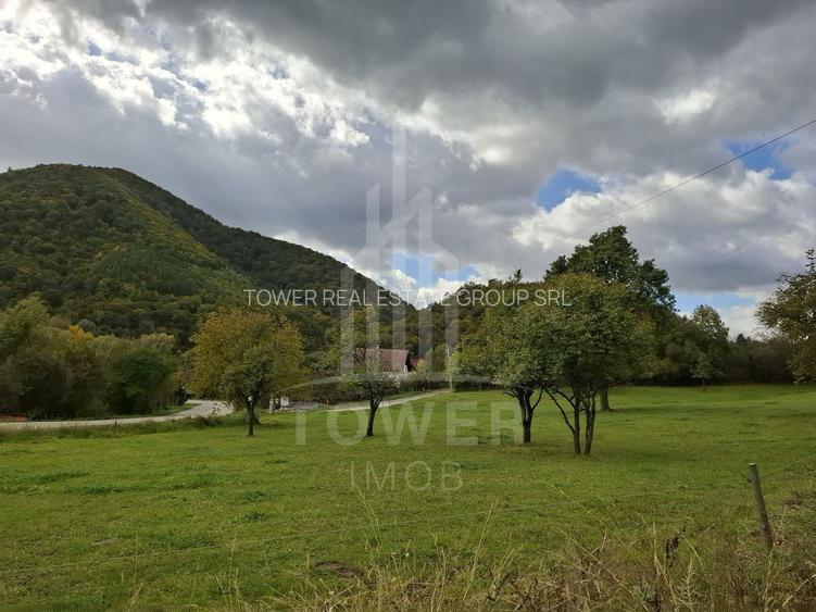 Teren intravilan cu Puz si priveliște deosebită, spre Cetatea Cisnădioara - 5