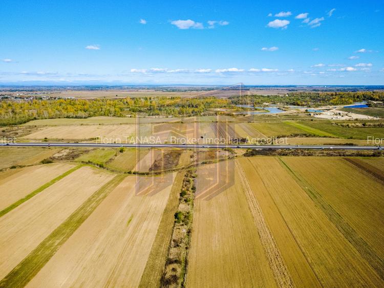 Terenuri industriale cu deschidere la A1, km 64 – Jugureni, Dâmbovița - 6