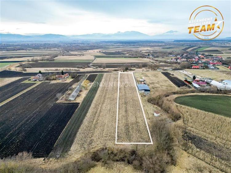 Film! Teren de 5.800 mp, Dobolii de Jos, Covasna - 3