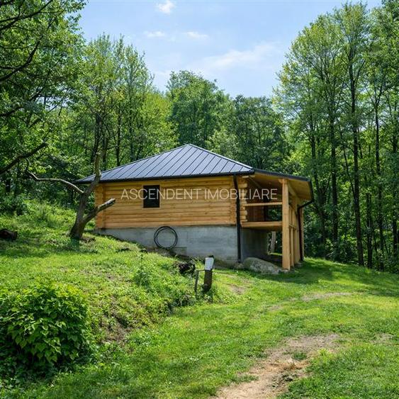 3.000mp de incantare montana cu cabana din lemn masiv, Zarnesti Tohanita - 12